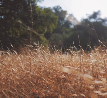巴黎惨败出局，拜仁突围下一轮