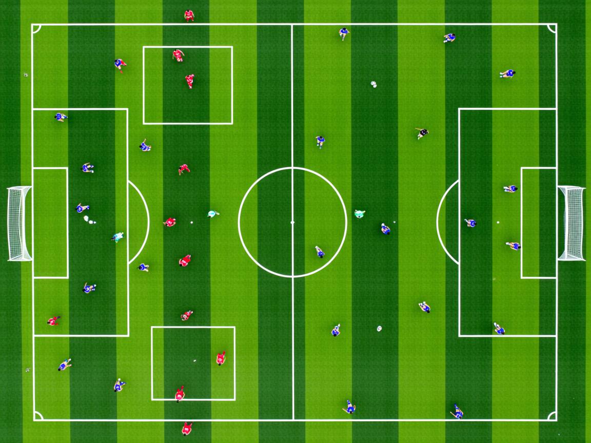 杏彩体育app-体育新闻中心参与体育内容版权国际合作项目，专业的体育新闻网站  第3张