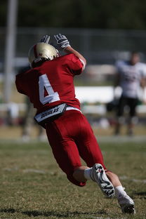 杏彩平台官网-外援适应球队节奏成为成败关键融合度需加强,外援球队球员 第2张